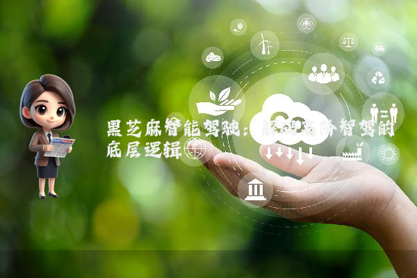 黑芝麻智能驾驶:解码高阶智驾的底层逻辑
